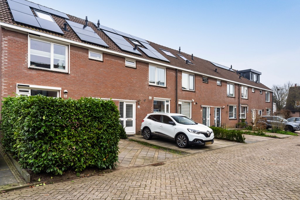 35. Boterbloemweide 86_02.jpg